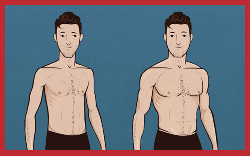 Les caractéristiques de l'ectomorphe